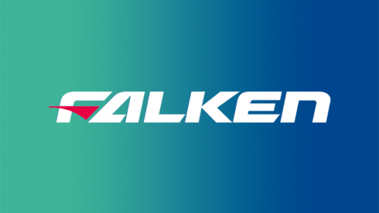 FALKEN logo